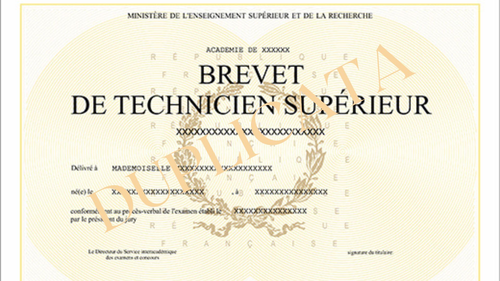 Diplôme national du Brevet de Technicien Supérieur